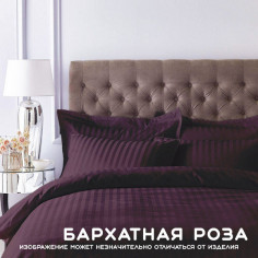 Бархатная роза